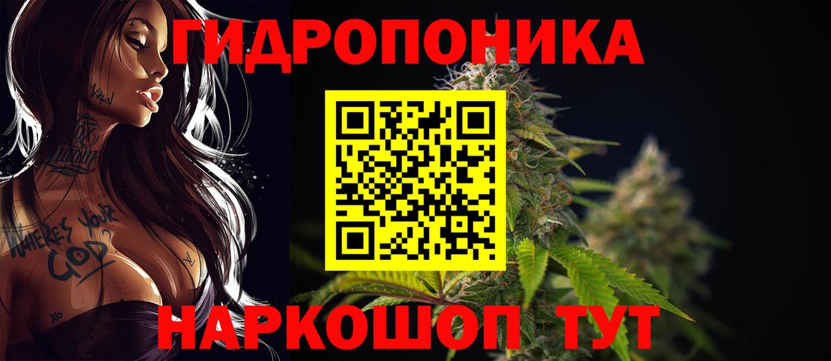 Рубцовск  Шишки марихуана план  Вход с VPN  Бошки марихуана ГИДРОПОН  Конопля MAZAR 